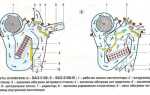 ВАЗ 2109: замена краника печки своими руками