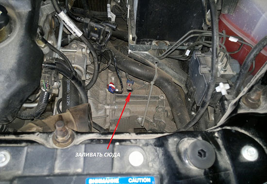 Заливное отверстие (горловина) Заливное отверстие (горловина)